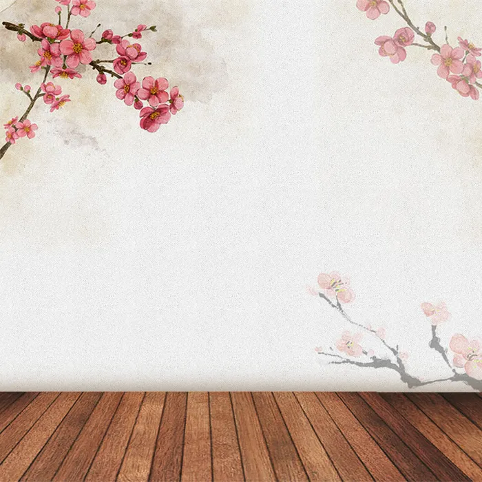 中国风梅花背景促销主图高清