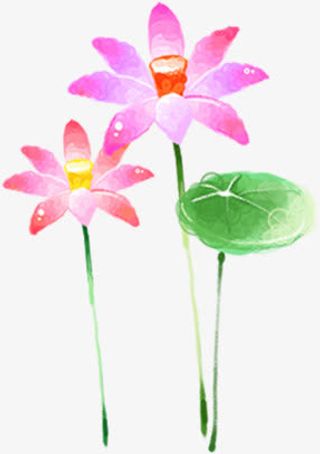 唯美荷花造型荷叶池塘免抠