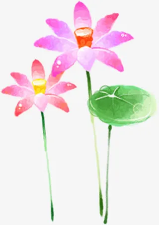 唯美荷花造型荷叶池塘免抠