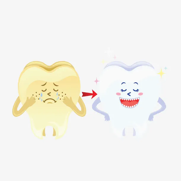 手绘牙齿免抠