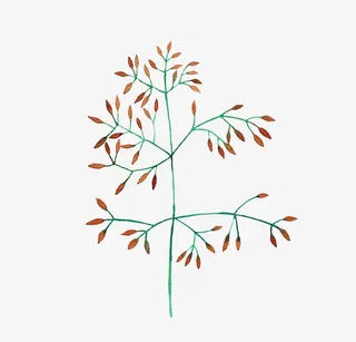 文艺清新花草海报设计装饰免抠