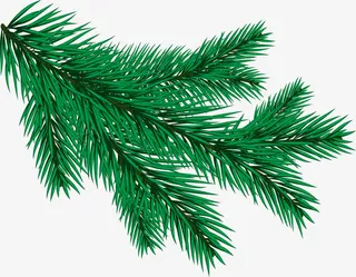 大自然绿色松叶免抠动植物植物元素