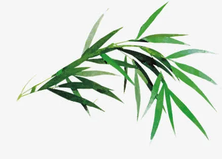 绿色文艺水墨竹子免抠