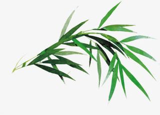 绿色文艺水墨竹子免抠