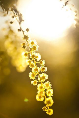 文艺摄影素材高清