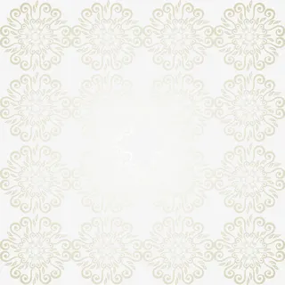底纹 纹理 背景 蕾丝 花边 欧式