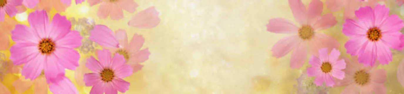 矢量花纹五彩花瓣banner