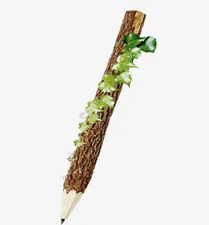 春天植物绿叶铅笔免抠