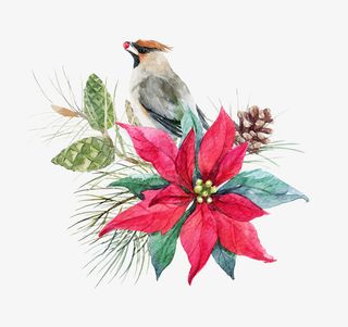 文艺清新花草海报设计装饰免抠