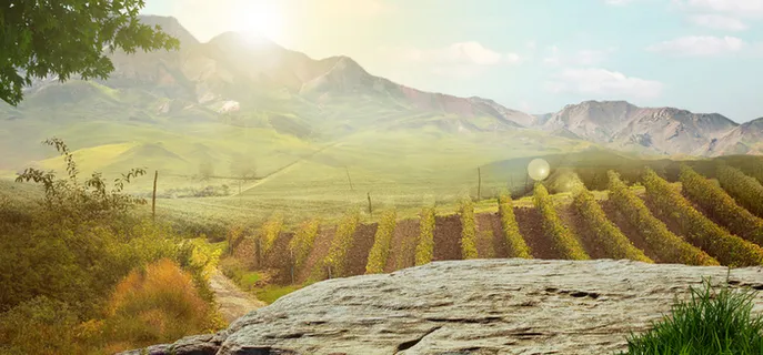 大气野外电商户外用品促销banner高清 大气野外电商户外用品促销banner高清