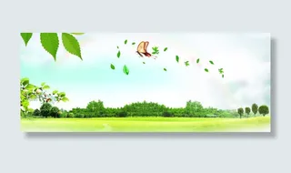 春天清新树叶蝴蝶背景banner