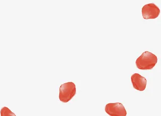 红色婚礼漂浮花瓣卡片免抠