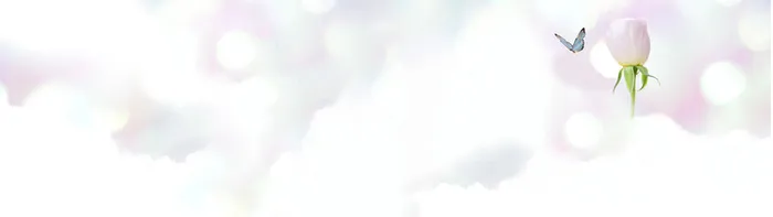 粉色 浪漫 花朵背景高清