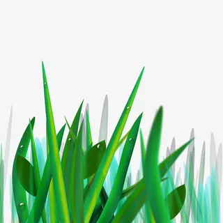 矢量早晨露珠免抠