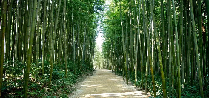 淘宝背景图高清