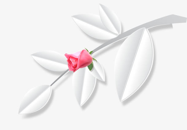 花瓣免抠