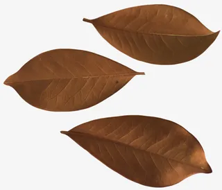 水彩卡通棕色落叶免抠