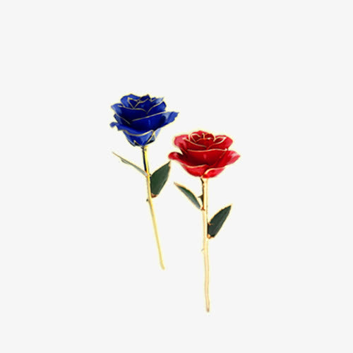 玫瑰花免抠