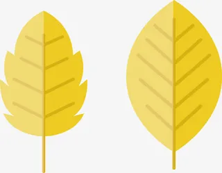 平面叶子矢量图免抠