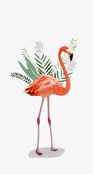 红色火烈鸟手绘叶子素材免抠