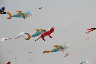 天空中的风筝1高清