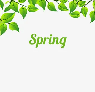 春天绿叶素材免抠