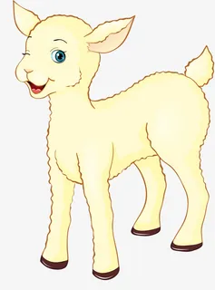 可爱的小羊羔免抠