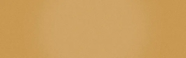 banner背景金沙