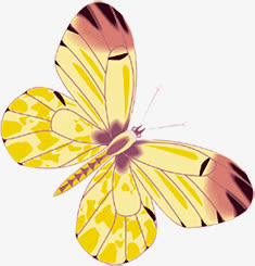手绘黄色斑点蝴蝶免抠