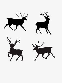 奔跑的麋鹿免抠