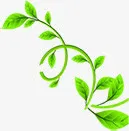 春天唯美植物树叶免抠