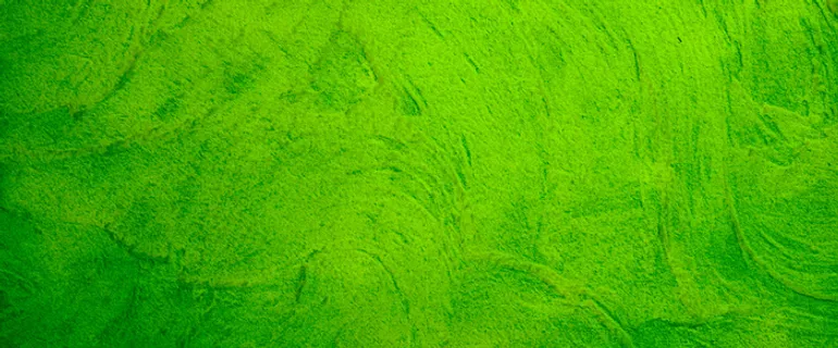 绿色水彩质感纹理设计banner高清