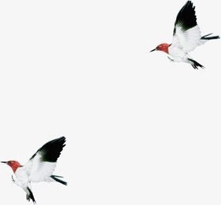 水墨古典小鸟可爱免抠