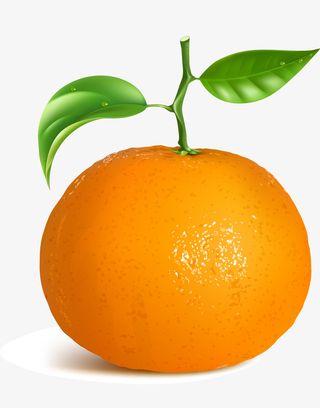 橙色简约水果免抠