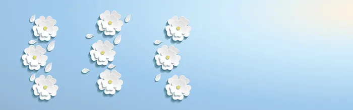 淘宝背景图 清新 扁平 简约 背景banner高清