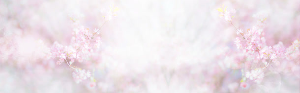 粉色樱花背景banner