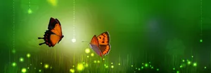 音乐清新唯美蝴蝶背景banner