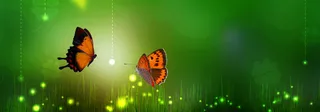 音乐清新唯美蝴蝶背景banner