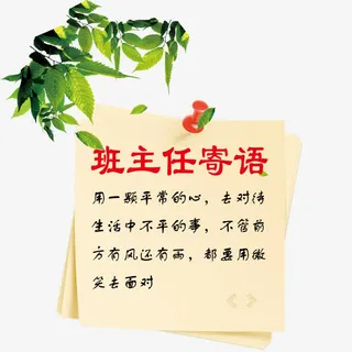 树叶纸张免抠