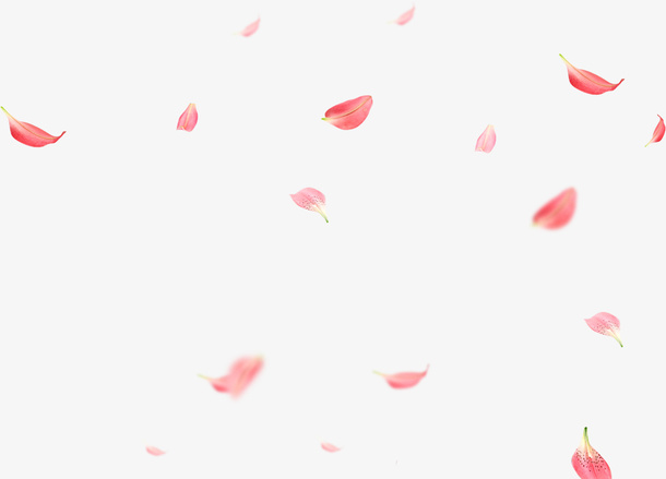 情人节红色漂浮花瓣免抠