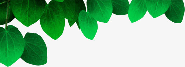 绿色春天风光树叶设计季节免抠