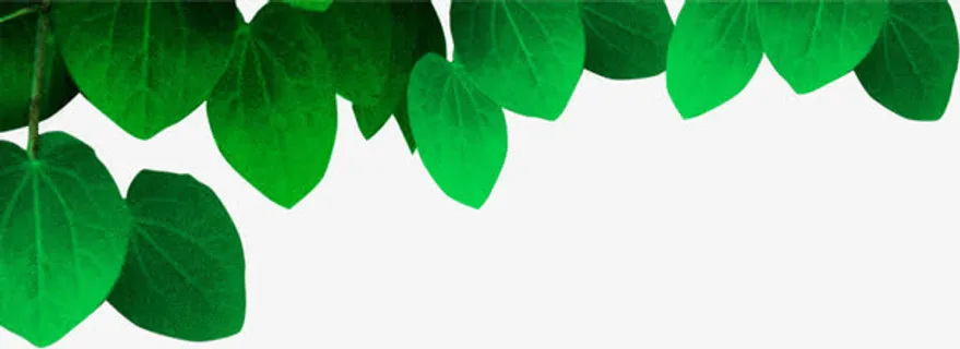 绿色春天风光树叶设计季节免抠