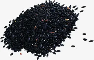 中秋节月饼里的黑芝麻免抠