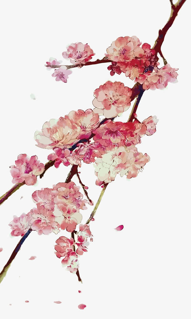 矢量梅花免抠