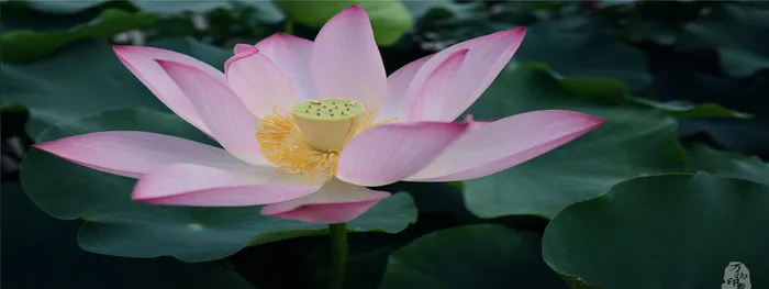 淘宝banner高清