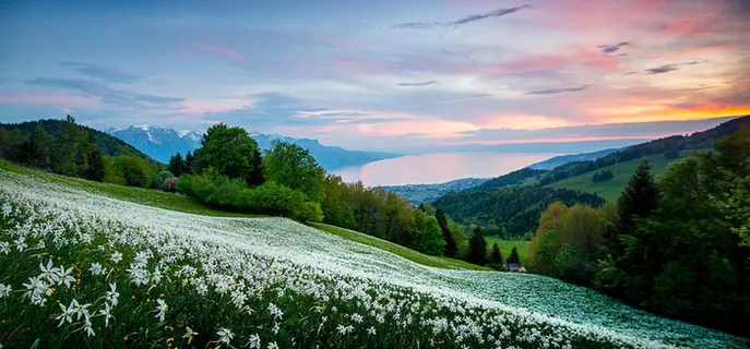 夕阳草原海报素材高清