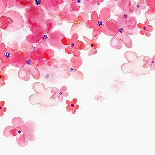 漂浮花瓣png免抠