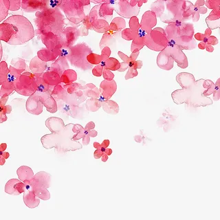 漂浮花瓣png免抠