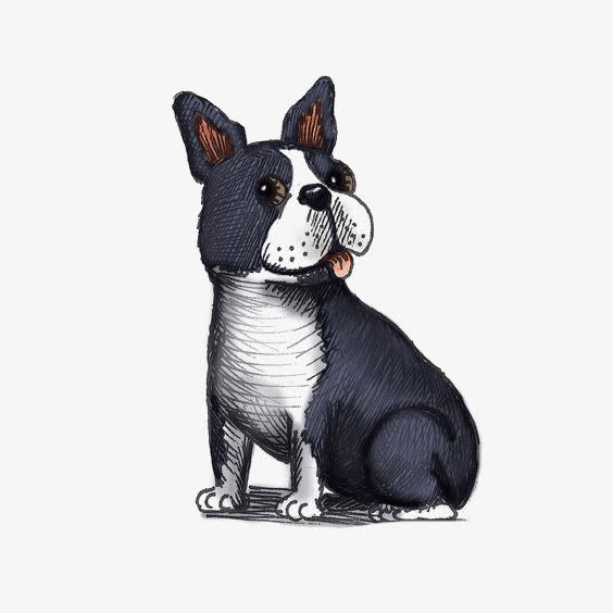 斗牛犬免抠