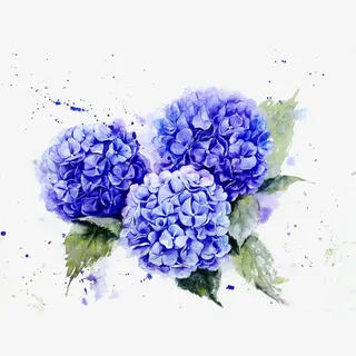 手绘水彩蓝色丁香花插画免抠免抠